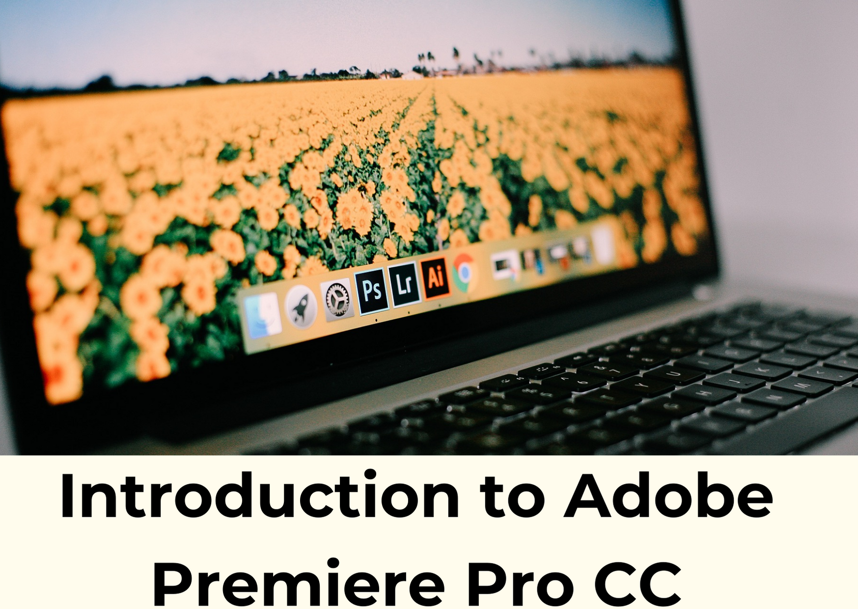 Introduction to Adobe Premiere Pro CC